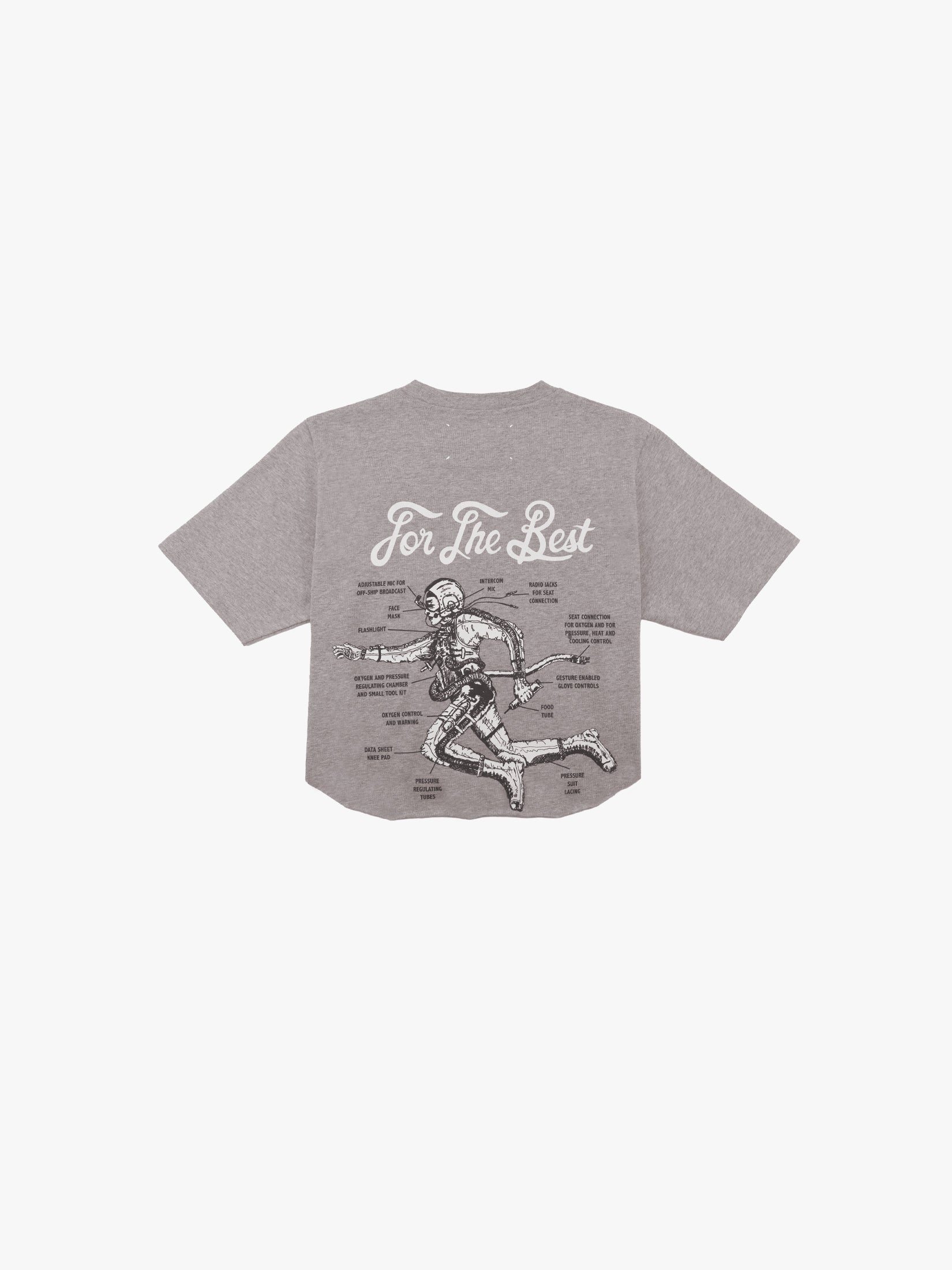AST Cropped T Shirt in Marl Gray