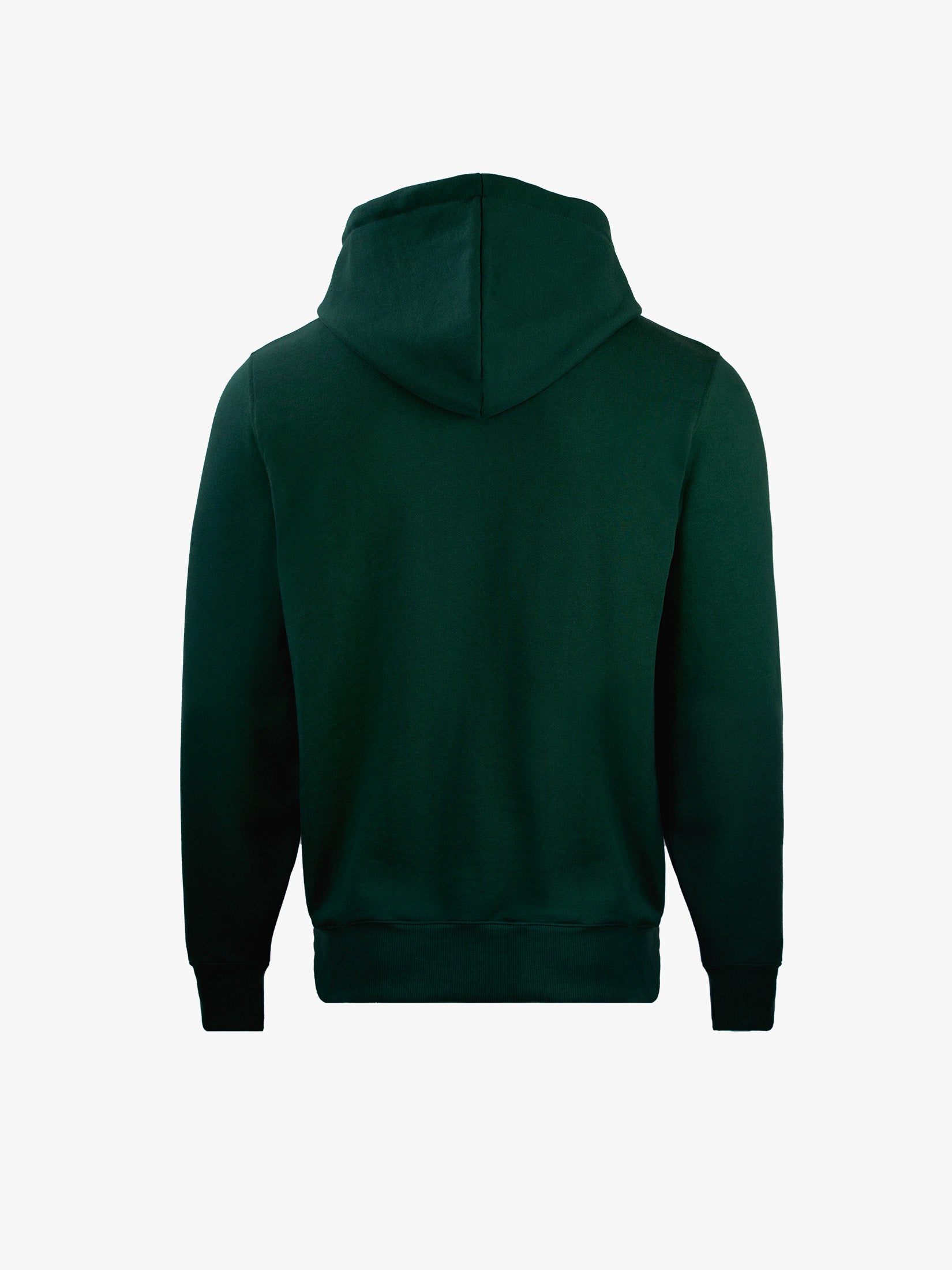 Double Wishbone Hoodie in Viridian