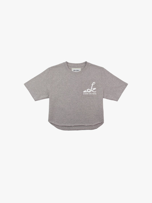 AST Cropped T Shirt in Gray